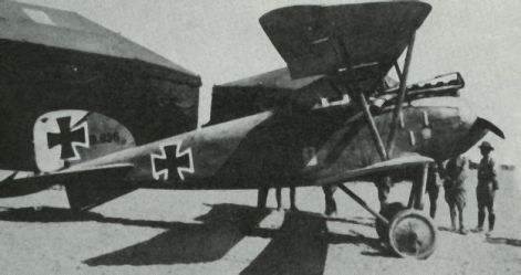 albatros_d3_7.jpg